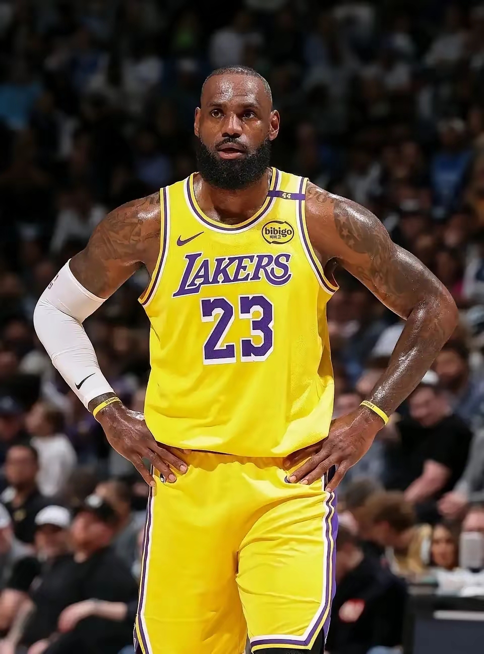 黑白体育-中超转会期再迎强敌;洛杉矶湖人遗憾出局;主帅态度——气氛紧张;数据趋势出现新变化的简单介绍